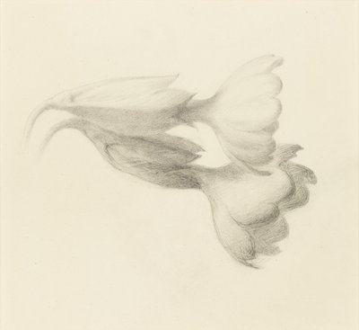Cowslip Bells, provavelmente 1871. de John Ruskin