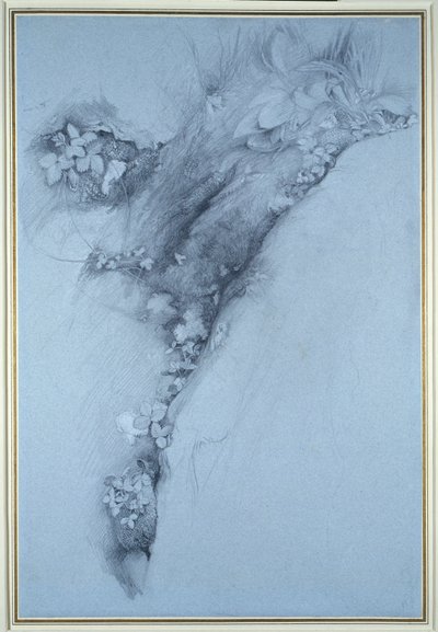 Musgo e morango silvestre de John Ruskin