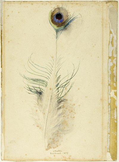 Pena de pavão de John Ruskin