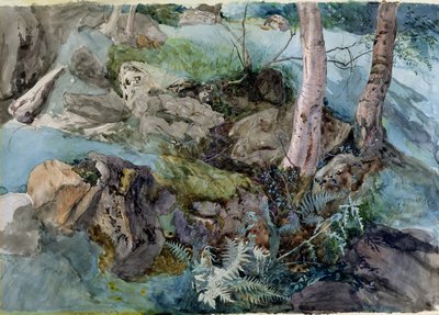 Estudo de rochas e samambaias em uma floresta em Crossmount, Perthshire, 1843 (wc no papel) de John Ruskin