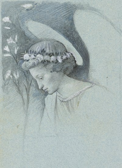 Estudo da Cabeça do Anjo Gabriel em "O Anjo Anunciador" de Filippo Lippi, 28 de Junho de 1870 (grafite, aguarela e corpinho sobre papel tecido azul) de John Ruskin