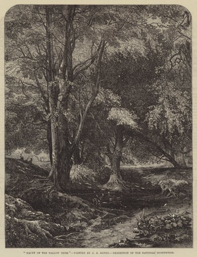Assombração dos gamos de John Samuel Raven