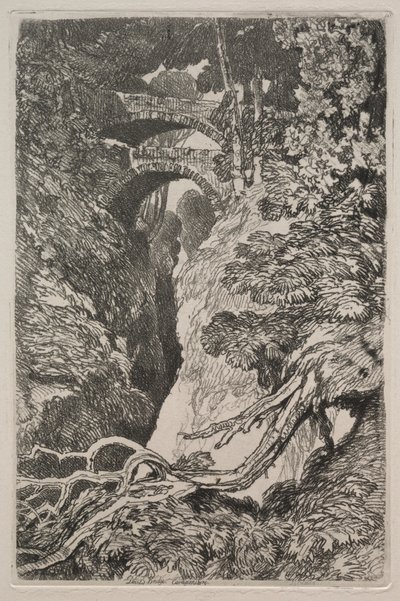 Liber Studiorum: Ponte do Diabo, Cardiganshire de John Sell Cotman