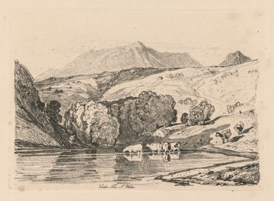 Estudos estão Placa livre 15 é a cair, íris, North Wales de 1838. de John Sell Cotman