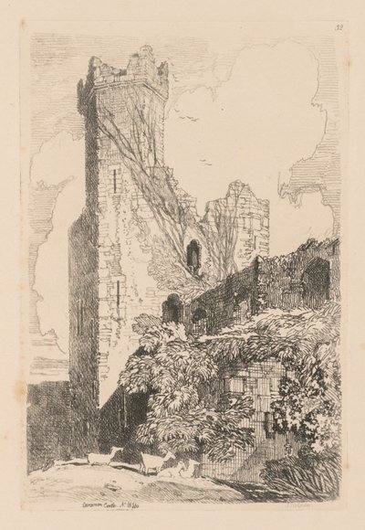 Livro de Estudos: Placa 32, Castelo de Caernarvon, N. Wales de John Sell Cotman