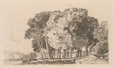 Liber Studiorum: Placa 3, Árvores perto de Twickenham de John Sell Cotman