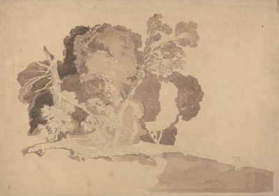 Estudo das árvores de John Sell Cotman