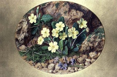 Prímulas e violetas de John Sherrin
