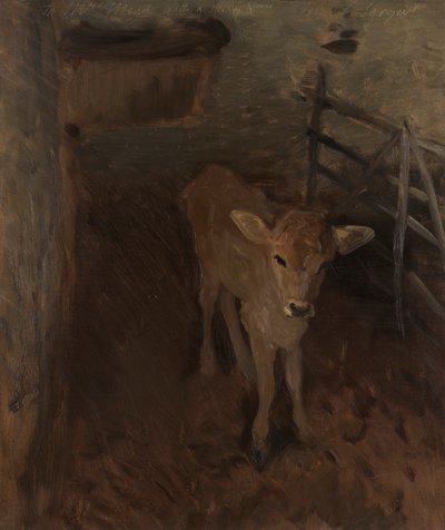 Um Bezerro de Jersey de John Singer Sargent
