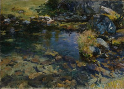 Piscina Alpina, 1907 de John Singer Sargent