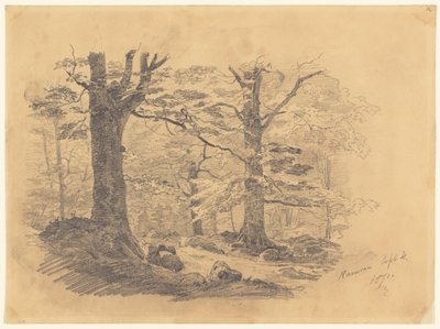 Forest, Ramsau, Alemanha, 1871. de John Singer Sargent