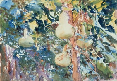 Cabaças, c.1905 (wc no papel) de John Singer Sargent