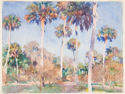 Palms, 1917 (wc sobre grafite sobre papel) de John Singer Sargent