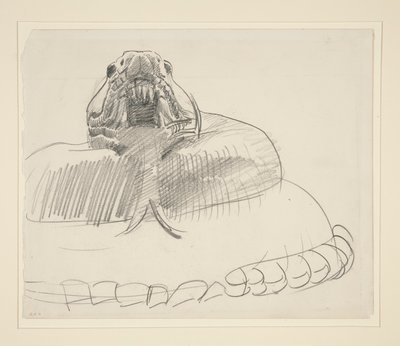 Cobra cascavel de John Singer Sargent