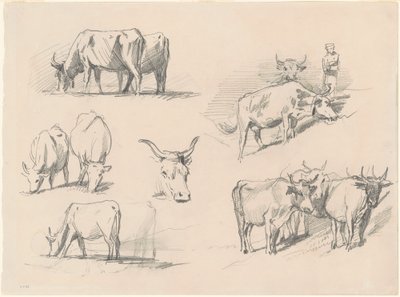 Estudos de Gado, c. 1872. de John Singer Sargent