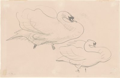 Estudos de um cisne de John Singer Sargent