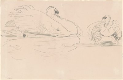 Cisnes na água de John Singer Sargent