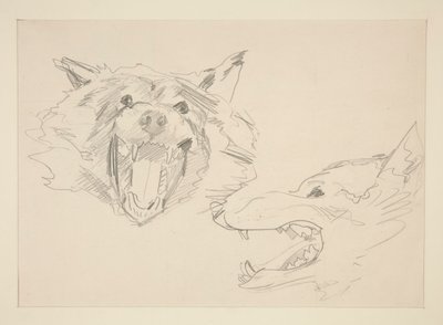 Duas visões de um lobo de John Singer Sargent
