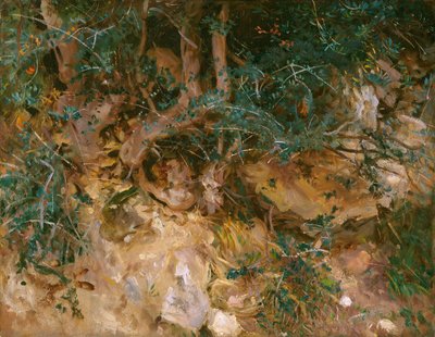 Valdemosa, Maiorca: Cardos e Herbage em uma encosta de 1908. de John Singer Sargent