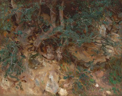 Raízes de oliveiras selvagens, Valldemosa, Maiorca de John Singer Sargent