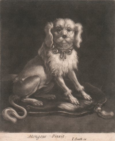 Um cão pequeno, usando uma coleira com sinos. de John Smith