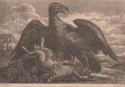 Águia e Lebre de John Smith