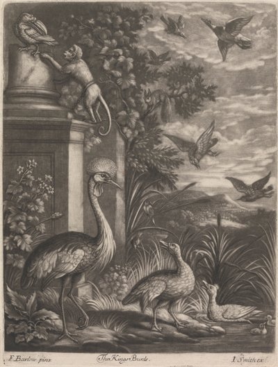 Os Reis Pássaros de John Smith