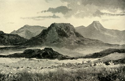 "A Historic Battlefield": Janeiro-Fevereiro de 1881, e Maio de 1900