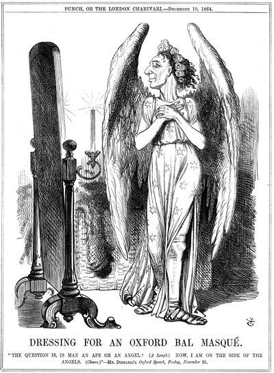 Benjamin Disraeli, conservador britânico, desenho animado de Punch, 1864 de John Tenniel