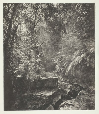 Um desfiladeiro de montanha em Formosa, c. 1868. de John Thomson