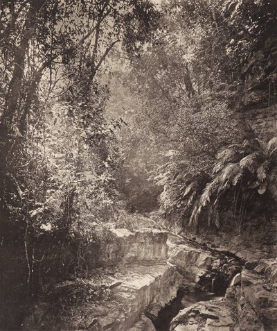 Um desfiladeiro na ilha de Formosa de John Thomson