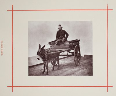 Black Jack, 1877. de John Thomson