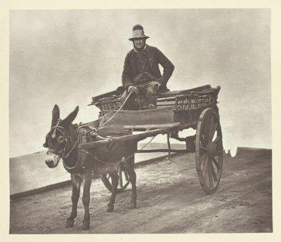 Black Jack, 1881. de John Thomson