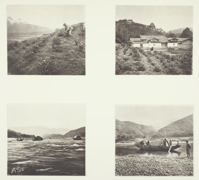 A Fábrica de Chá; A Fábrica de Chá; Os rápidos de Yenping; Um pequeno barco rápido de John Thomson