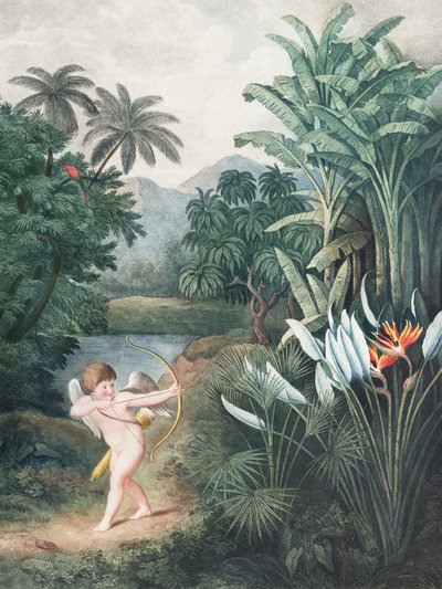 «Cupido a inspirar as plantas com amor», do «Templo de Flora» (1807), de Robert John Thornton de John Thornton