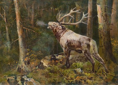  de John Trivett Nettleship