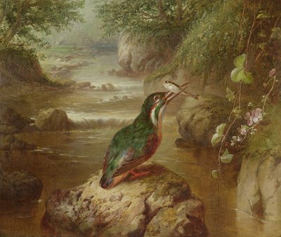 O Assombrar do Martim-pescador de John Wainwright