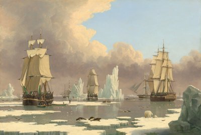 A Pescaria da Baleia do Norte: The Swan and Isabella, c. 1840. de John Ward I