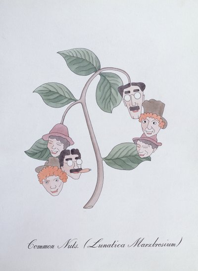 Nozes comuns. (Lunatica Marxbrosium), ilustração de 
