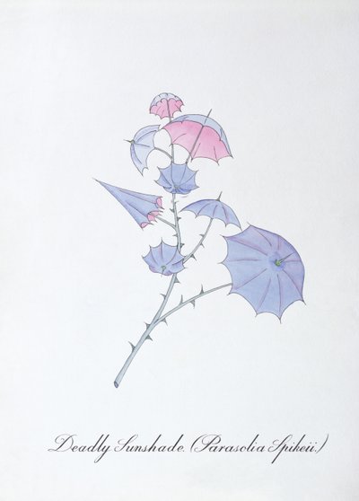 Guarda-sol mortal (Parasolia Spikeii.), ilustração de 