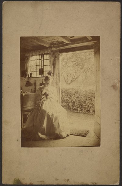 [Mulher de vestido comprido às riscas sentada no interior da sala]. de John Whistler