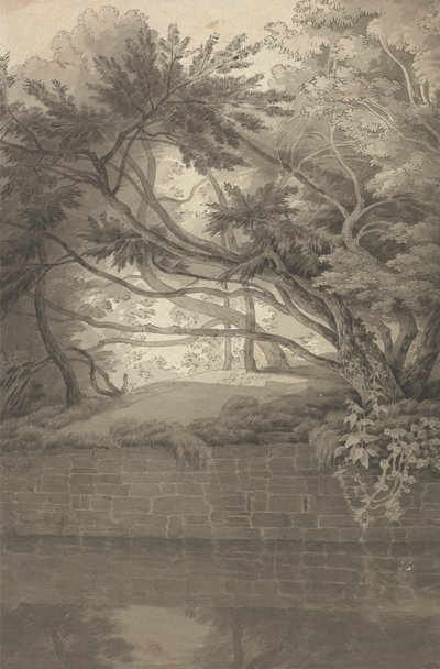 Árvores salientes de um lago de John White Abbott