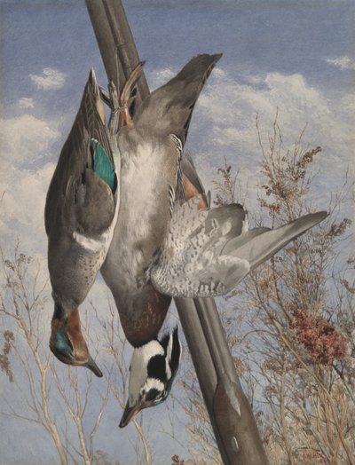 Aves de caça penduradas de John William Hill