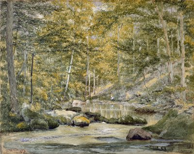 Woodland Pool with Men Fishing, 1870 (wc no papel) de John William Hill
