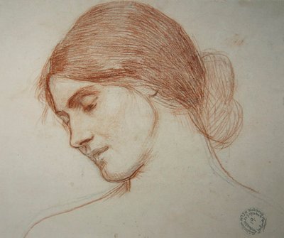 Cabeça de uma jovem rapariga, à esquerda. de John William Waterhouse