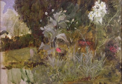 Estudo de Flores e Folhagem, para &39;O Jardim Encantado&39; (óleo sobre tela) (ver 190595) de John William Waterhouse