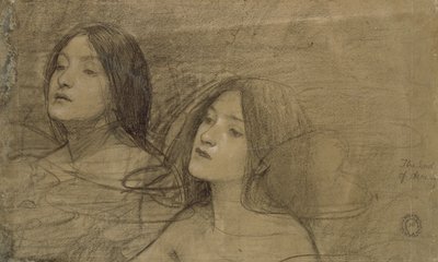 Estudo de duas ninfas para 