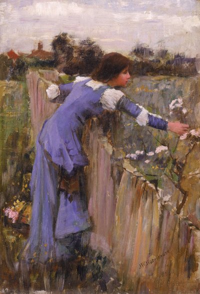 O selecionador de flores de John William Waterhouse