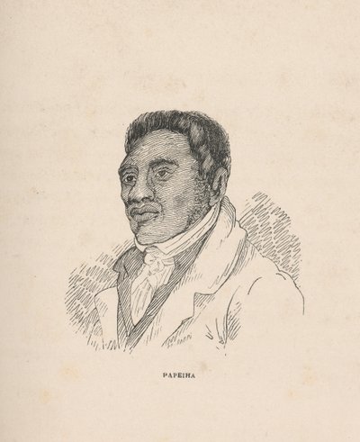 Narrativa das actividades missionárias nas Ilhas do Mar do Sul, c.1837 (papel) de John Williams