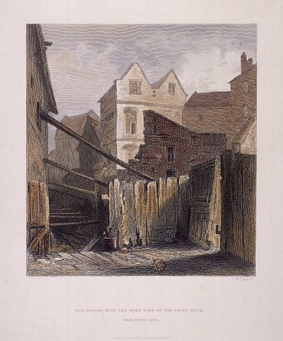 Fleet River, Londres, 1851 de John Wykeham Archer